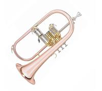 Beginner Trumpet Phosphorus Copper Flugel Horn Trumpet In The Key Of Bb Professional Stainless Steel Trumpet Musical Instrument
