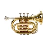 Beginner Trumpet Pocket Trumpet B Flat Brass Trumpet Instrument Beginner Professional Trumpet Full Tone Standard