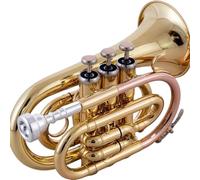 Beginner Trumpet Pocket Trumpet Bb Stainless Steel Professional Trumpet For Beginners With Beautiful Tone