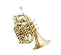 Beginner Trumpet Pocket Trumpet Musical Instrument Bb Gold Lacquer Professional Stainless Steel Brass Beginner Trumpet
