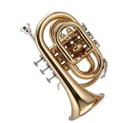 Beginner Trumpet Pocket Trumpet Trumpet B-flat Pocket Number Professional Trumpet Musical Instrument Beginner Portable