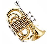 Beginner Trumpet Portable Trumpet B Flat Pocket Cornet Band Stainless Steel Professional Beginner Trumpet Musical Instrument