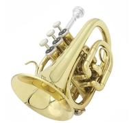 Beginner Trumpet Professional Pocket Trumpet Tone Flat B Bb Brass Instrument Gloves Cloth Brush Hard Case Trumpet