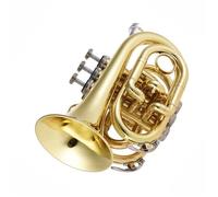 Beginner Trumpet Professional Pocket Trumpet Tone Flat B Bb Brass Wind Instrument Exquisite Beginner Pocket Trumpet