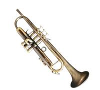 Beginner trumpet Reverse Leadpipe Trumpet Double Color Surface Professional Bb Trumpet