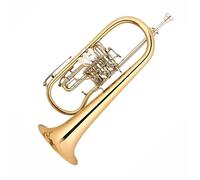 Beginner Trumpet Rotary Piston Flugel Horn Trumpet Wind Instrument Bb Trumpet Instrument Standard Sound