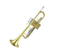 Beginner trumpet Standard Type White Copper Pitch-changing Tube Body Two-color Lacquered Gold Trumpet In B Fla