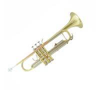 Beginner Trumpet Trumpet Instrument B Flat Brass Band Professional Trumpet Phosphor Bronze/White Copper Portable Trumpet