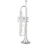 Beginner Trumpets Silver-plated Two-color Trumpet Instrument Bb Flat Three-tone Trumpet For Beginners To Play Professionally(B)