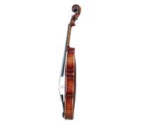 Beginner Violin 20 Years Maple Handmade Violin 4/4 Vintage Beginner Professional Instrument(Dark blue)