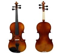 Beginner Violin 4/4 Violin Solid Wood Set With Case Accessory For Playing Practising(Type2)