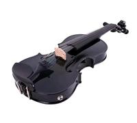 Beginner Violin 5 Strings 4/4 Electric Violin Acoustic Suitable For Beginners Professionals Practice Playing Beautiful Tone(Typ2)