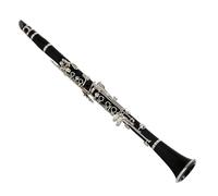 Beginners clarinet B Flat Clarinet Exam Clarinet Double Two Section B Flat Clarinet Instrument(Boxes)