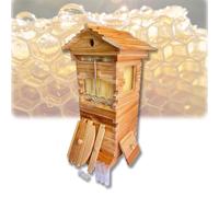 Beginner's Complete Bee Hive Kit, Wooden Beehive Box with Observation Window & Honey Tap, Includes Carpenter Bee House for Pollinator-Friendly Gardens