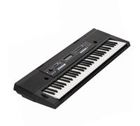 Beginners Electronic Keyboard Electronic Piano 61-Key Velocity Keyboard Adult Professional Grade Examination Performance Teaching Introduction Black