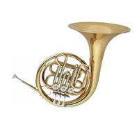 Beginners French Horn French Horn Bf Lat Brass Instrument Beginner Practice