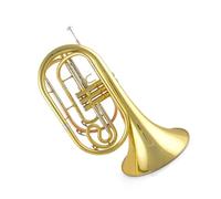 Beginner's French Horn French Horn Instrument B Flat Special Playing Practice(2)
