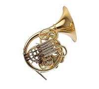 Beginner's French Horn Professional Brass Instrument Lacquered Gold Horn Playing Exercises Suitable For Beginners(1)