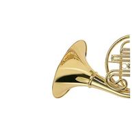 Beginners french horn Wind Instrument Single Key Of Bb Brass French Horn
