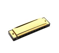 Beginners harmonica 10-hole Blues Harmonica Adult Folk Instrument Harmonica Blues 10 Holes(Gold)