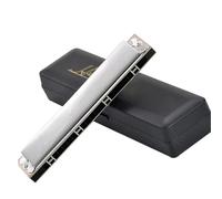 Beginners harmonica 21-hole Polyphonic Harmonica Professional Advanced Beginner Harmonica C Key(Ab)