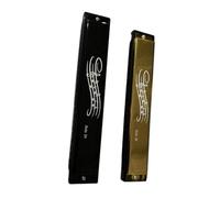 Beginners Harmonica 24 Hole C Blowing Harmonica Double Row Blues Vibrato(Black)