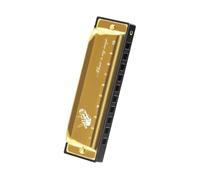 Beginners harmonica Diatonic Blues Harmonica Key Of C Blues Harp Mouth Organ Harmonica 10 Holes With Blue Case Standard(Gold)