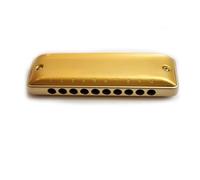 Beginners Harmonica Gold Aluminum Comb Harmonica Beginner Professional Portable Musical Instrument(Paddy E)