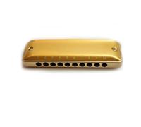 Beginners harmonica Round Hole 10-hole Diatonic Harmonica Plastic Aluminium Comb Major Natural Minor Tuning(Golden)