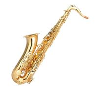 Beginners Saxophone Alto Saxophone Brass Lacquer Gold Bb Tuning Lacquer Gold/Brushed Shell Key Lacquer Gold Edition