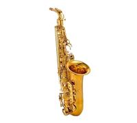 Beginners Saxophone Alto Saxophone E-flat Saxophone Wind Instrument Beginner Performance Level Double Rib Large Mouth