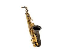 Beginners Saxophone Black nickel gold accessories + suitcase Alto Saxophone E flat saxophone wind instrument beginner performance level
