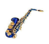 Beginners Saxophone Eb Alto Saxophone Unique Matte Black Blue Red Purple Nickel Plated Carved Surface E Flat Instrument Sax(Blue)