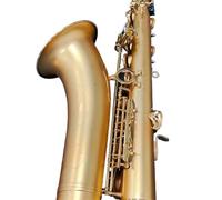 Beginners saxophone Tenor Saxophone Model B Flat Jazz Instrument French Professional Tenor Saxophone (Color : Canvas bag)