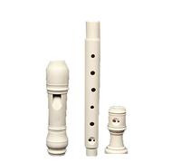Beginners Soprano Recorder High-pitched C-tune student musical instrument eight-hole Recorder Flute beginner professional general (Color : 02)