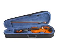 Beginners Violins Kit, Handmade F Hole Acoustic Violin with Bow Rosin Bag Musical Instrument Accessories (1/2)