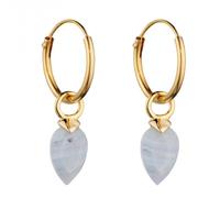 Beginnings December Yellow Gold Plated Birthstone Chalcedony Stone Hoop - Sterling Silver / Gold Plated