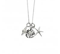 Beginnings Luxurious Sterling Silver Charm Kit P4885 - Sterling Silver