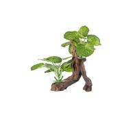 BEGONDIS Aquarium Plants with Lifelike Leaves and Resin Driftwood, Natural Betta Fish Hideout, Realistic Tree Trunk Decoration for Freshwater Fish Tanks (Style-2)