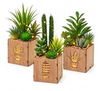 BEGONDIS Artificial Succulent Plants with LED Lights, Set of 3 | Three compact faux plants in wooden boxes, each 17 x 7.6 x 7.6 cm, for desks, shelves, bedrooms and bathrooms.