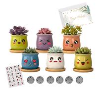 BeGrit 6 Pack Indoor Plant Pots with DIY Smiley Face Stickers Small Ceramic Planters Mini Glazed Succulent Pots Colorful Pottery Planters Plant Container for Gift Decorative Home Office Bedroom