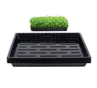 BeGrit Shallow Plastic Tray Seedling Germination Trays 10 Pack Plant Water Flat Tray Succulent Transport Tray Gravel Trays Plastic Potting Tray for Greenhouse Garden Work Table(37CM X 30CM X 3.5CM)