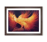 Beguiling Phoenix Bird Framed Print | A4 Walnut Framed Wall Art | Ready to Hang | Modern Nature Picture | Living Room Bedroom Lounge Office