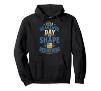 Behavior Analyst Positive Behavior Strategy Pullover Hoodie