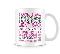Behind The Glass - I Came, I Saw (Pink) - Funny Mug | Mug for Christmas and Birthdays | Gag Novelty Mug, Ceramic, 11fl.oz.