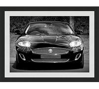 Behind The Glass Jaguar Black & White - Framed & Mounted - 40x30cm - Black Frame