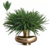 BEHONA 13 Pcs Christmas Norfolk Pine Branches, Artificial Christmas Norfolk Artificial Greenery Pine Needle Branches Small Twig for Xmas DIY Making Garland Wreath Home Decor (13)