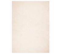 (beige, 140 x 200 cm) vidaXL Rug Short Pile Soft and Washable Floor Mat Area Rug Bedroom Carpet