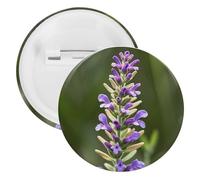 Beige Aesthetic Sage Badge Metal Round Pins, Lightweight Brooch for Backpack, Fashion Button Pins Badge for Shirts, Jackets, Shawl Coat, Unisex, 5PCS, Tinplate, metal round pins