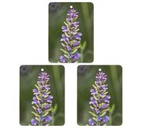 Beige Aesthetic Sage Car Air Freshener, 3 Pcs Square Hanging Air Freshener Cards, Long Lasting Fragrance Scented Cards for Car, Home, Office Gray-style